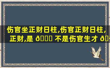 伤官坐正财日柱,伤官正财日柱,正财,是 💐 不是伤官生才 🪴